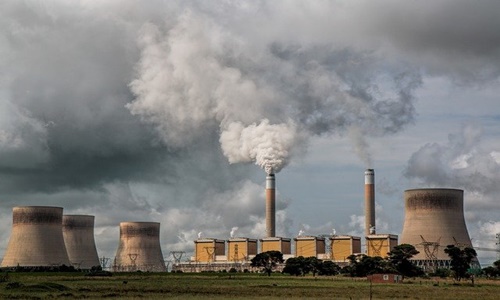 UK power station DRAX allegedly cuts down primary Canadian forests